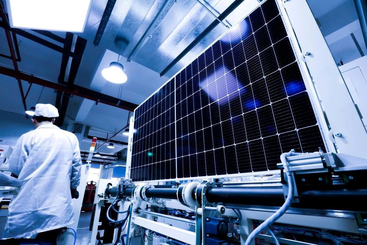 DeepSeek预测:未来10年发展潜力较大的5个专业 - 无忧考